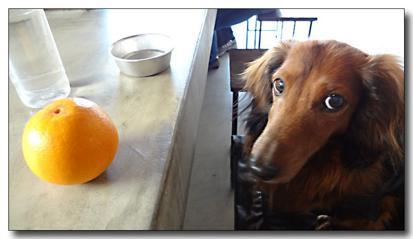 20130309013200.JPG