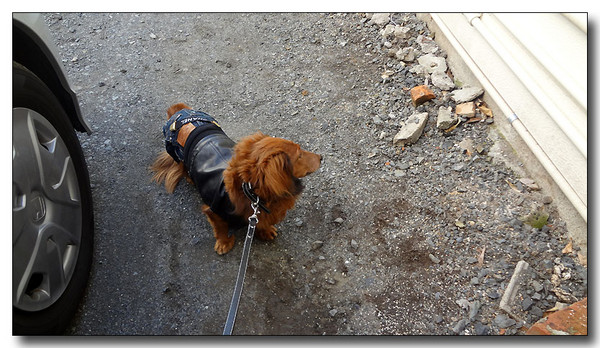 20130309013204.JPG