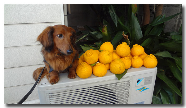 20130309013206.JPG