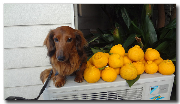 20130309013207.JPG
