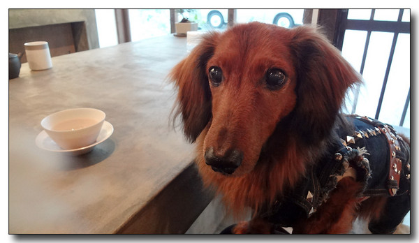 20130310033717.JPG