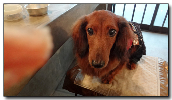 20130310033719.JPG