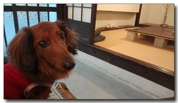 20130310033720.JPG