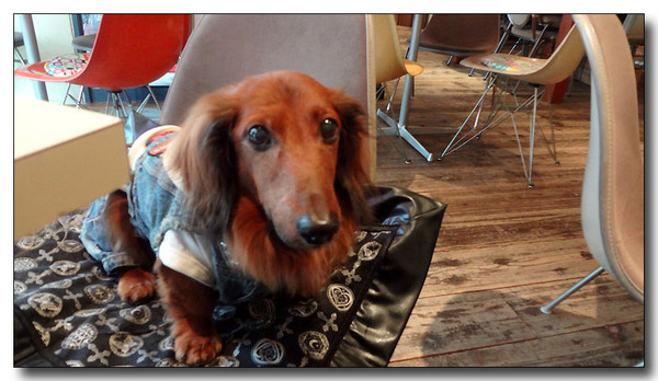 20130310211416.JPG