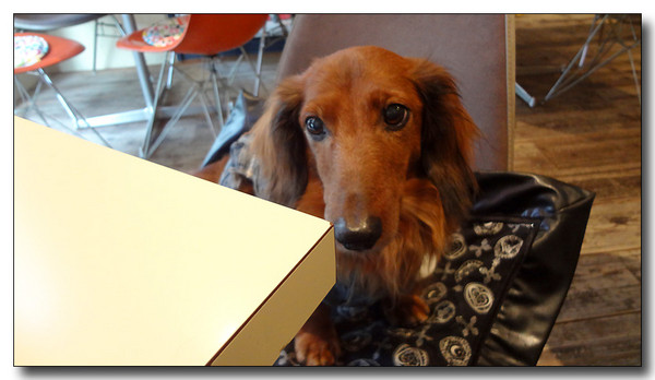 20130310211417.JPG