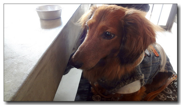 20130310232051.JPG