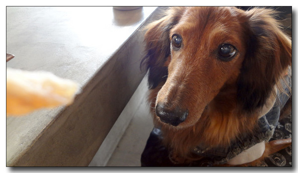 20130310232052.JPG