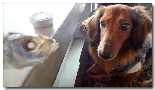 20130310232053.JPG