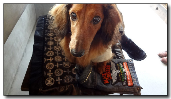 20130310232055.JPG