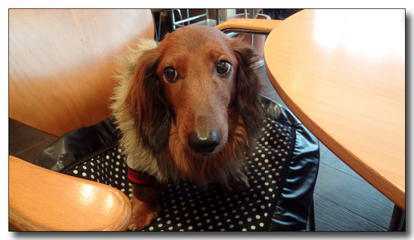 20130311185130.JPG