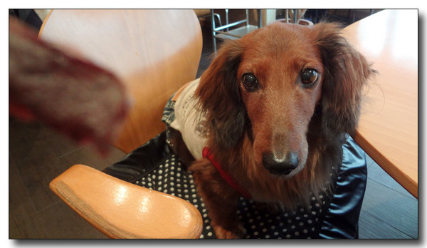20130311185131.JPG