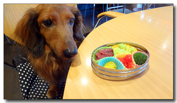 20130311185132.JPG