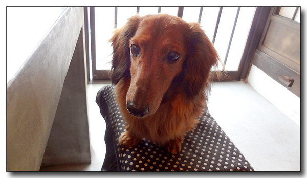20130311202252.JPG