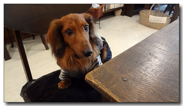 20130312113640.JPG
