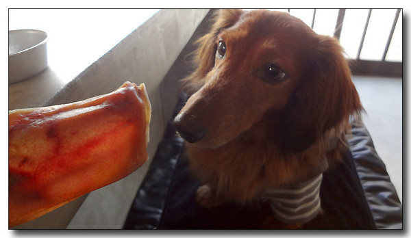20130313005319.JPG