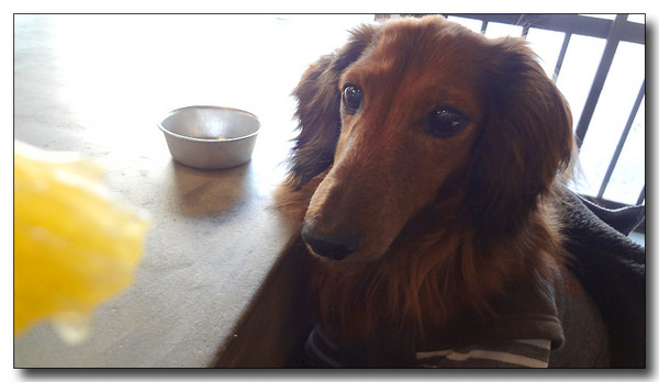 20130313005320.JPG