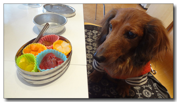 20130313132752.JPG