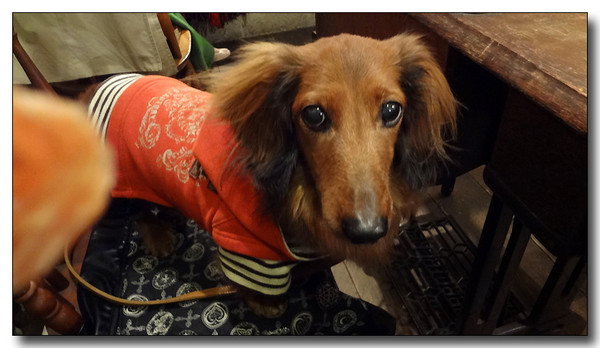 20130313190344.JPG