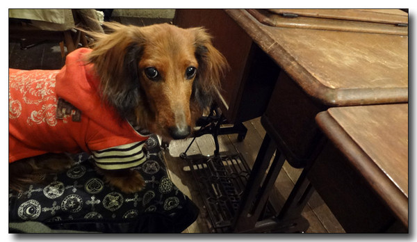 20130313190345.JPG