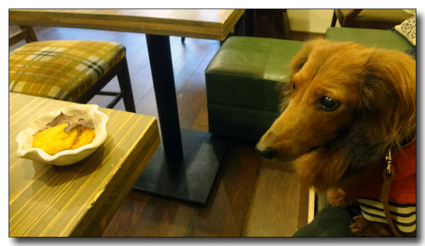 20130313203123.JPG