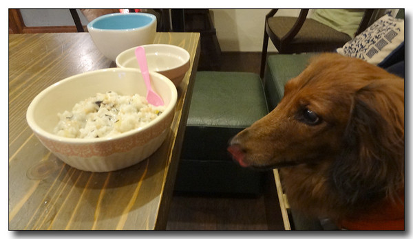20130313203131.JPG