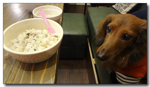 20130313203132.JPG