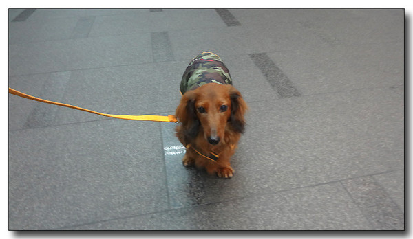20130313203204.JPG