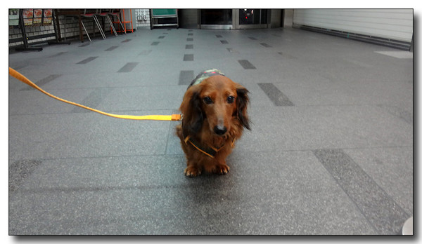20130313203206.JPG