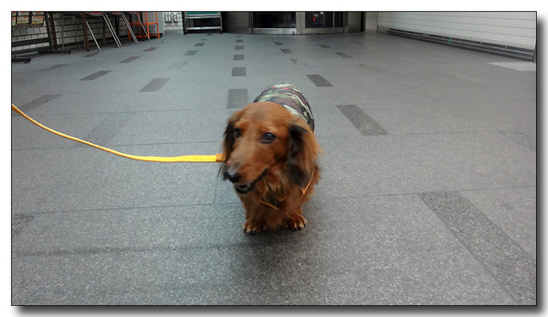 20130313203207.JPG