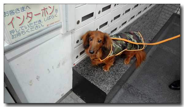 20130313203208.JPG
