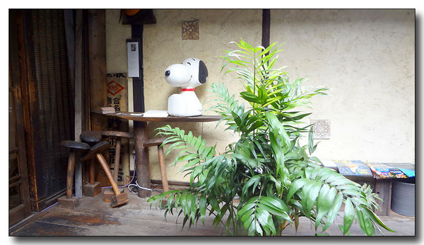 20130314012004.JPG
