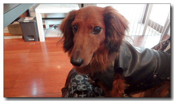 20130314012526.JPG