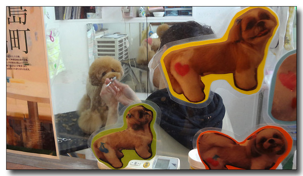 20130314012527.JPG