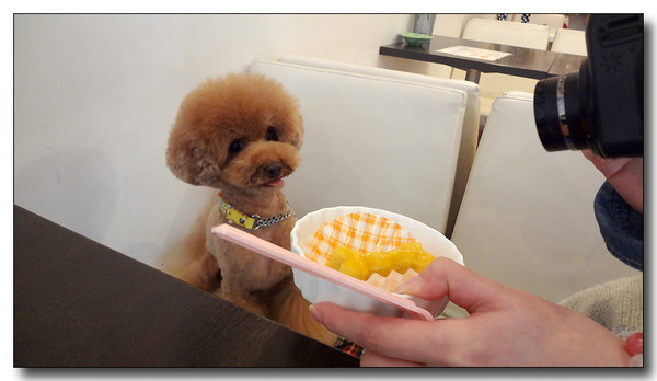 20130314012531.JPG