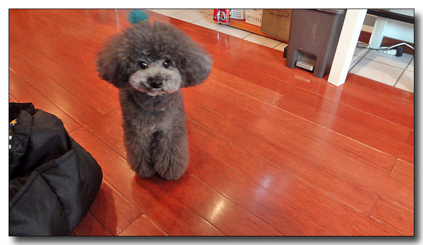 20130314012532.JPG