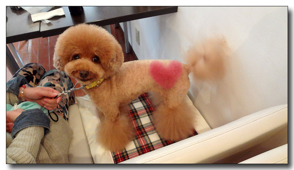 20130314012534.JPG