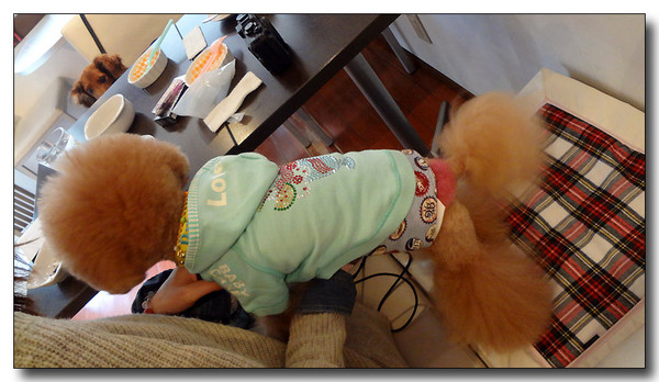 20130314012535.JPG