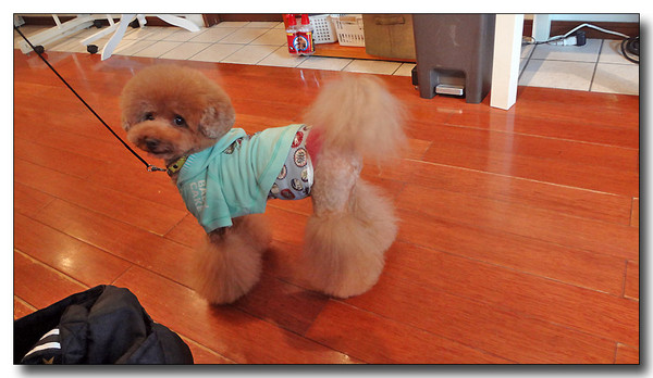 20130314012536.JPG