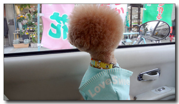 20130314232102.JPG