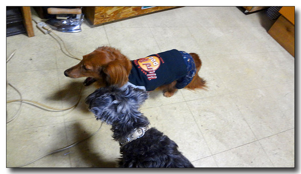 20130315141502.JPG