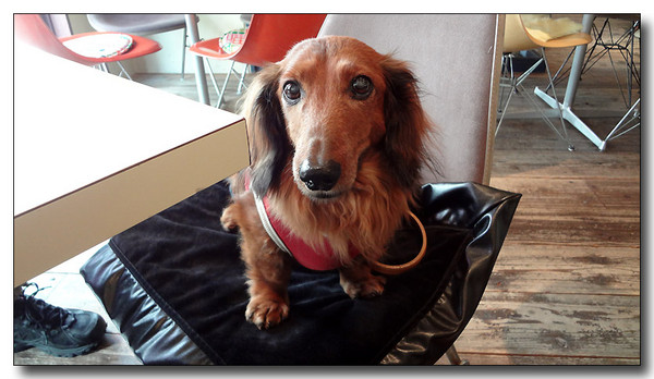 20130315141744.JPG