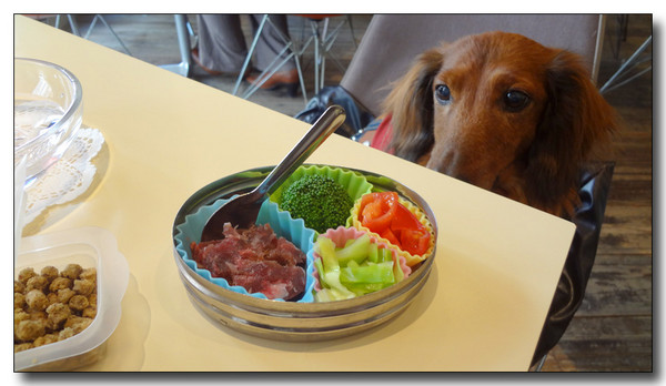 20130315141747.JPG