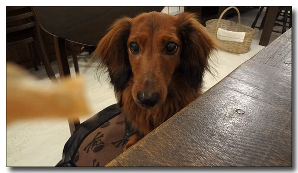 20130315220639.JPG