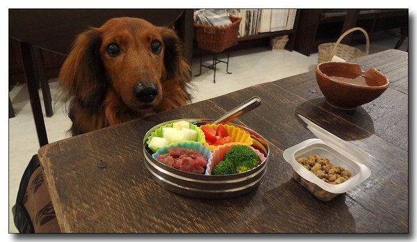20130315220641.JPG
