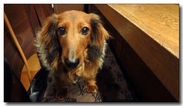 20130315230054.JPG