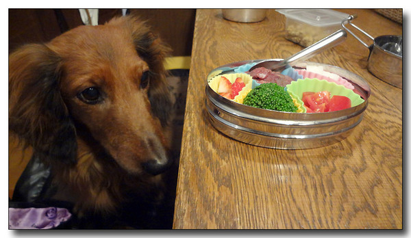 20130315230055.JPG