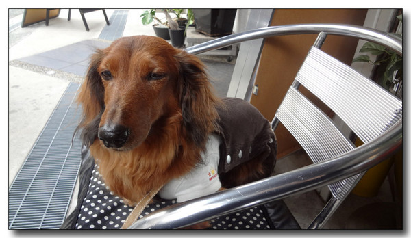 20130321181137.JPG