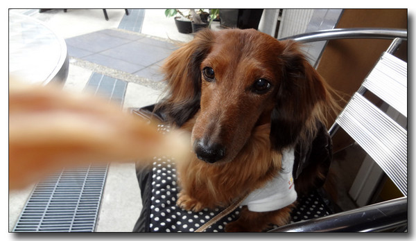 20130321181139.JPG