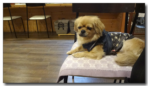 20130322082204.JPG