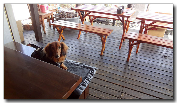 20130323002415.JPG